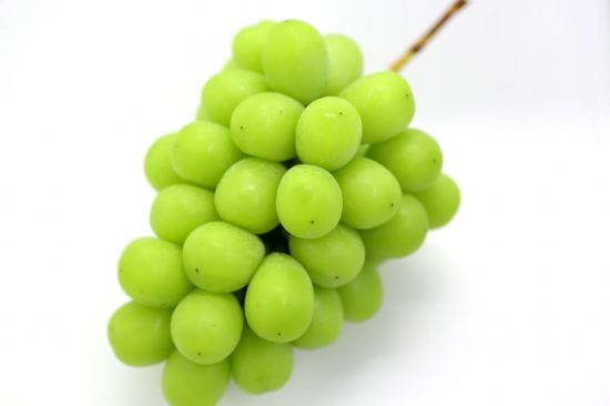 シャインマスカット産地による特徴をご案内（山形県産、長野県産、山梨県産